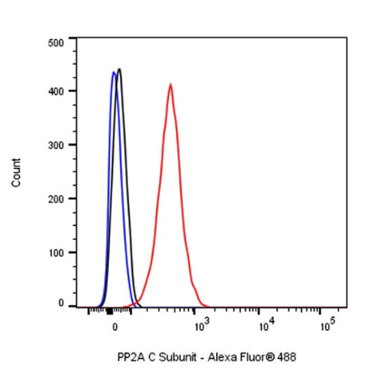 PP2A C Subunit Rabbit polyclonal antibody