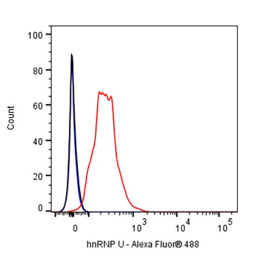 hnRNP U Recombinant Rabbit mAb (S-2375-23)