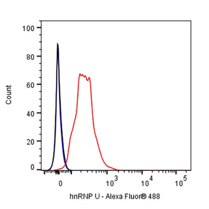 hnRNP U Recombinant Rabbit mAb (S-2375-23)