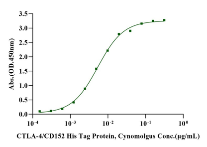 Biotinylated B7-1 Fc&Avi Tag Protein, Human