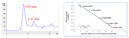 USP30 Protein