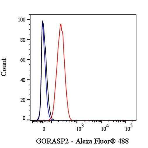 GORASP2 Recombinant Rabbit mAb (S-2526-47)