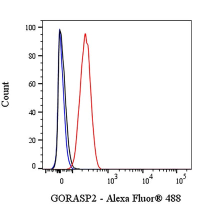 GORASP2 Recombinant Rabbit mAb (S-2526-47)