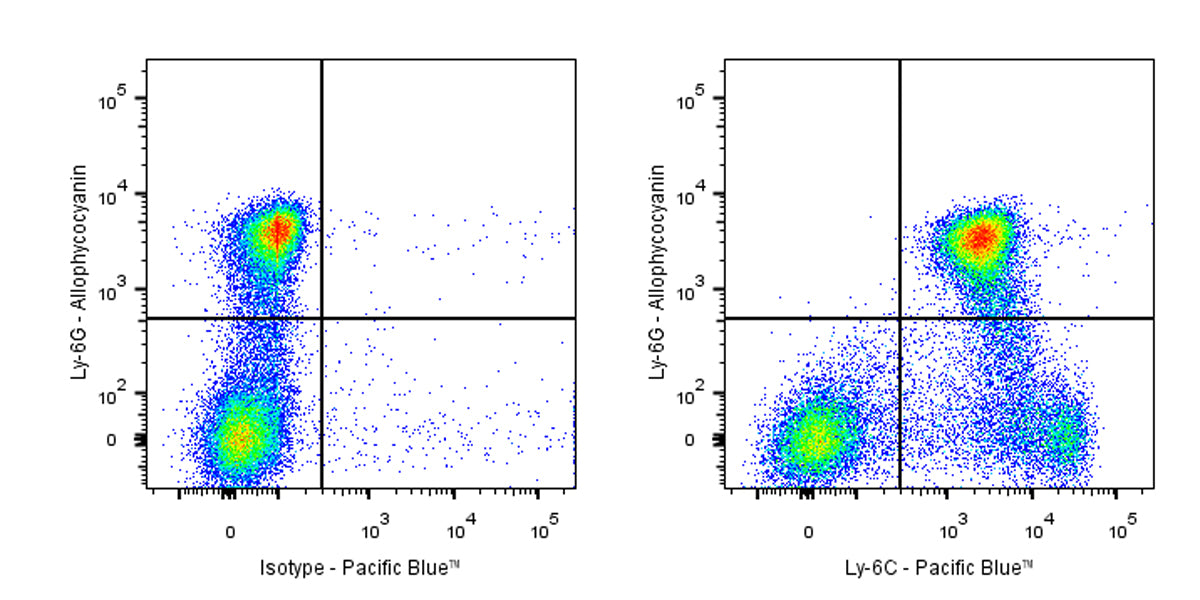 Pacific Blue Rat Anti-Mouse Ly-6C Antibody (HK1.4)