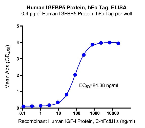 IGFBP5 hFC Tag Protein, Human