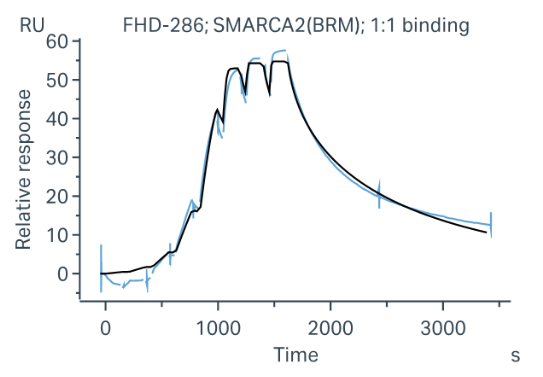 Biotin-SMARCA2 Protein, Human