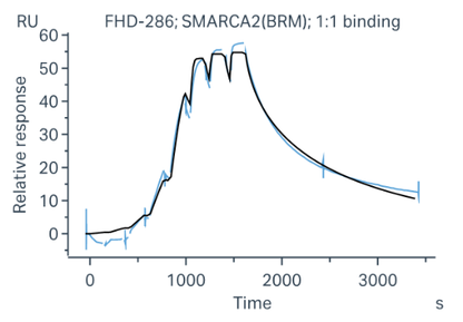 Biotin-SMARCA2 Protein, Human