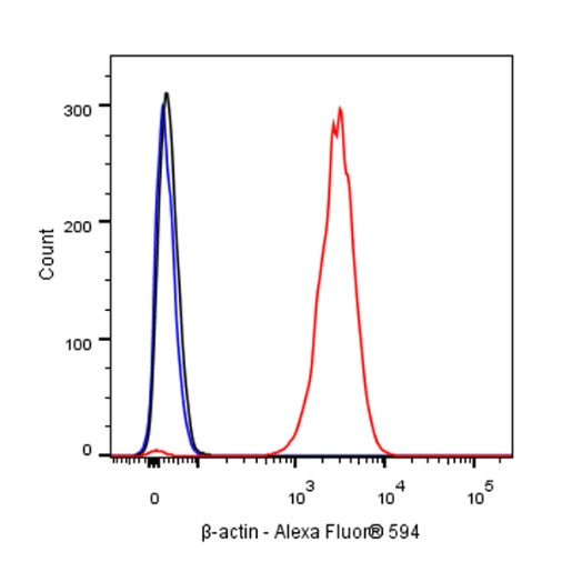 β-actin Recombinant Rabbit mAb (Alexa Fluor® 594 Conjugate) (S-R156)