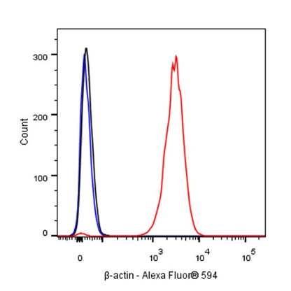 β-actin Recombinant Rabbit mAb (Alexa Fluor® 594 Conjugate) (S-R156)