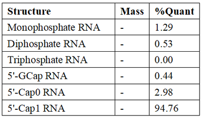 mRNA Cap 2'-O-Methyltransferase