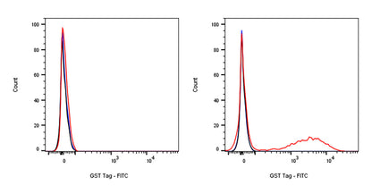 GST Tag Recombinant Rabbit mAb (FITC Conjugate) (S-372-19)