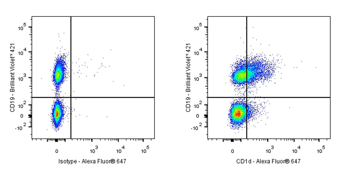 Rat Anti-Mouse CD1d Antibody (1B1)