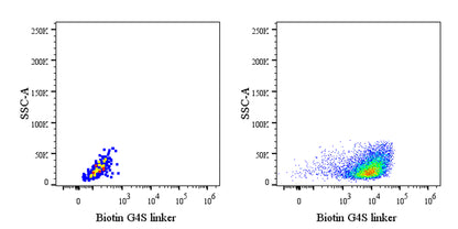 G4S linker Recombinant Rabbit mAb (Biotin Conjugate) (S-5030)