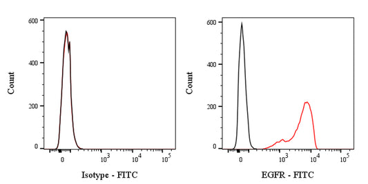 FITC Mouse Anti-Human EGFR Antibody (528)