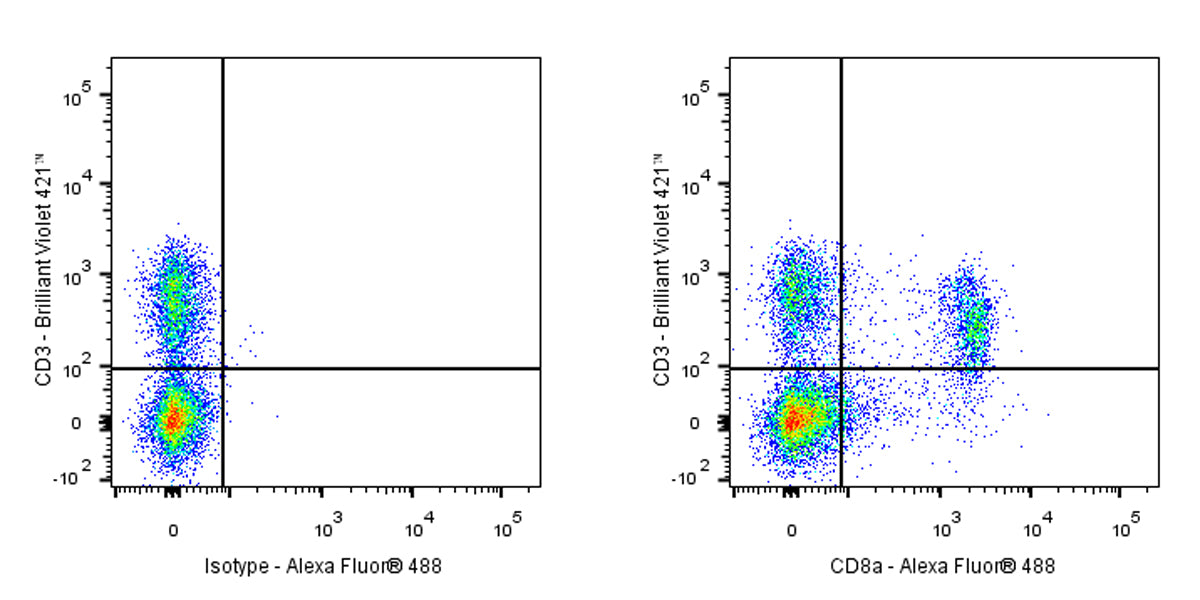Alexa Fluor® 488 Rat Anti-Mouse CD8α Antibody (2.43)