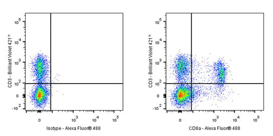 Alexa Fluor® 488 Rat Anti-Mouse CD8α Antibody (2.43)