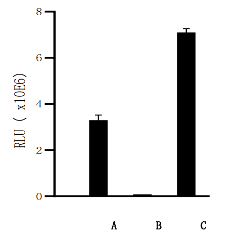 UA-Glo® Dual Luciferase Assay System
