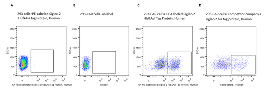 PE-Labeled Siglec-2/CD22 His&Avi Tag Protein, Human