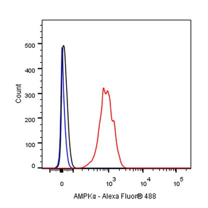 AMPKα Recombinant Rabbit mAb (S-455-38)