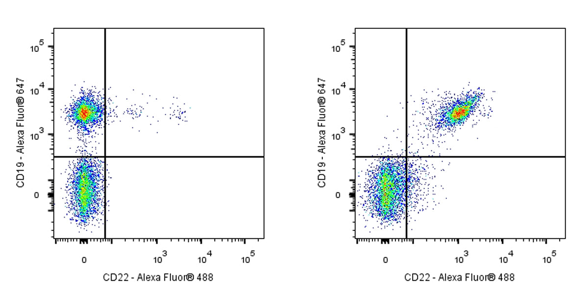 Rat Anti-Mouse CD22 Antibody (OX-97)