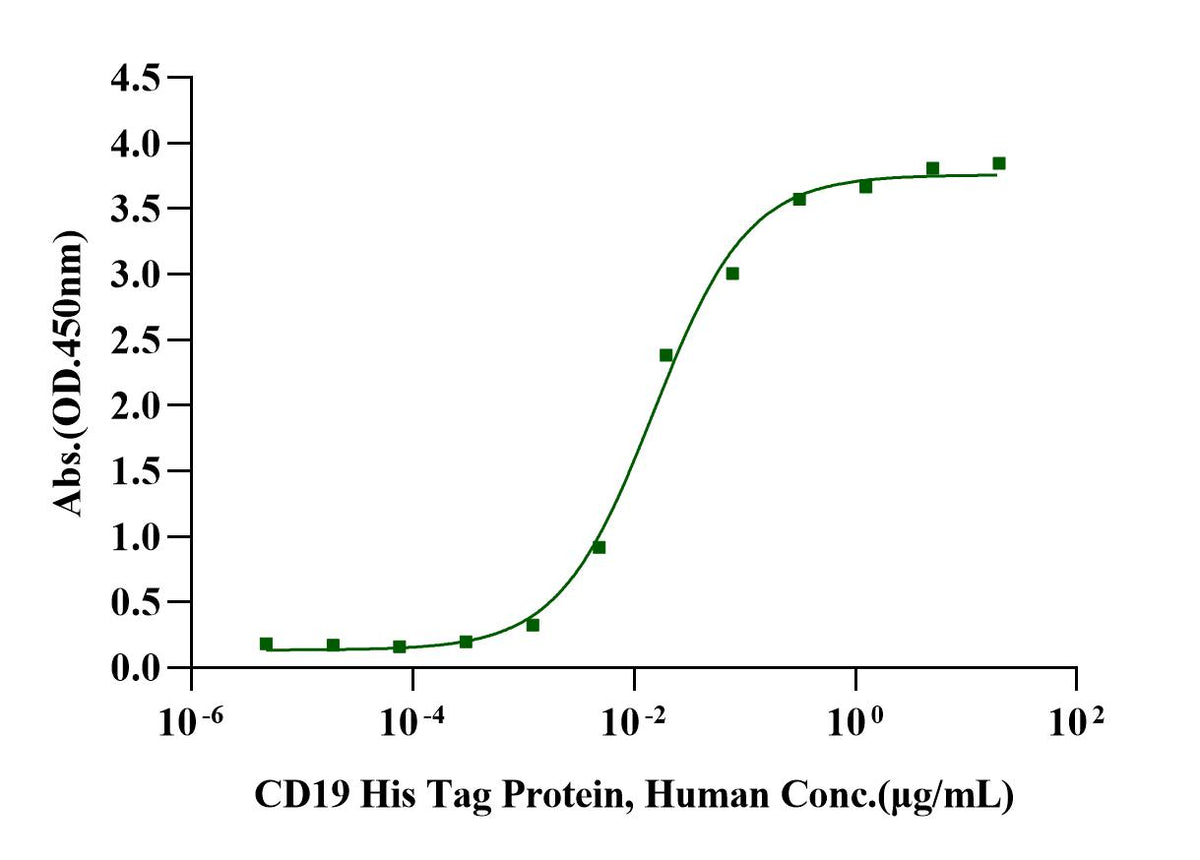 CD19 His Tag Protein, Human