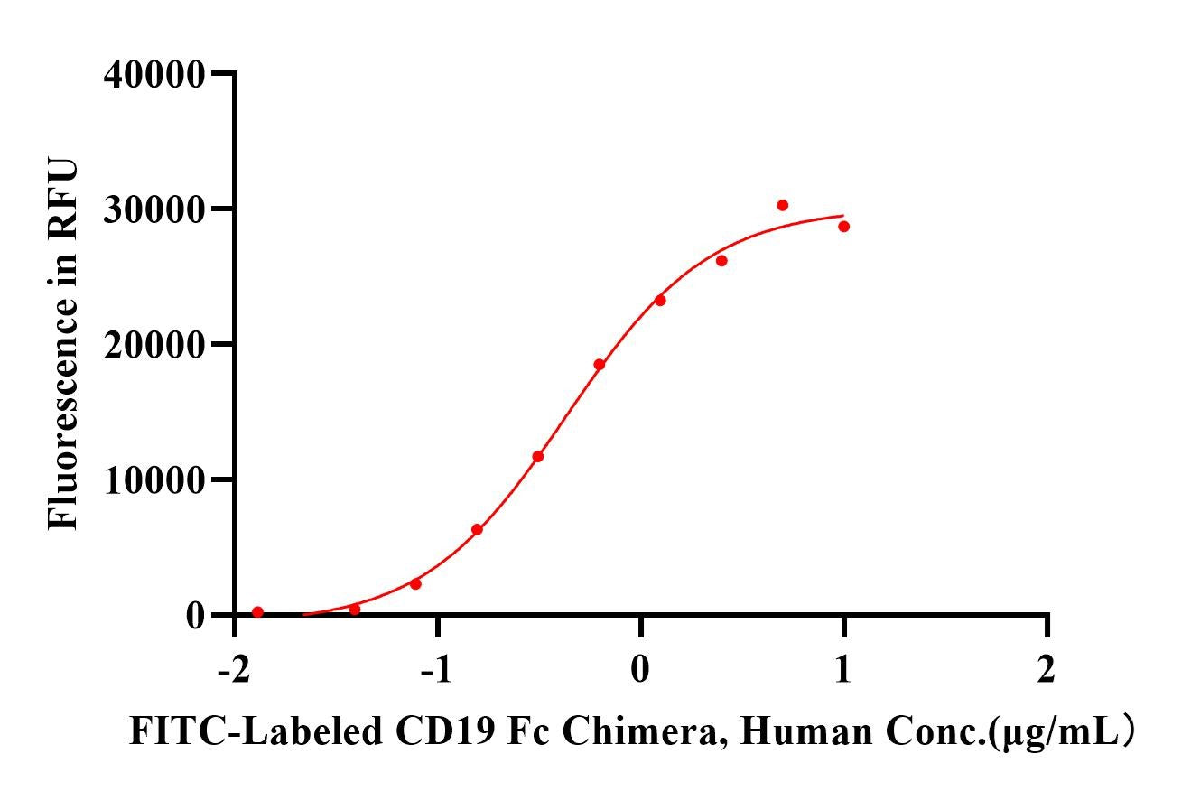 FITC-Labeled CD19 Fc Chimera Protein, Human