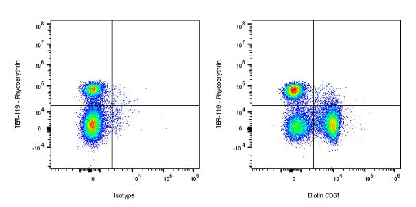 Biotin Armenian hamster Anti-Mouse/Rat CD61 Antibody (2C9.G2)