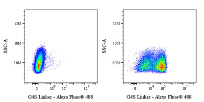 G4S linker Recombinant Rabbit mAb (Alexa Fluor® 488 Conjugate) (S-5030)