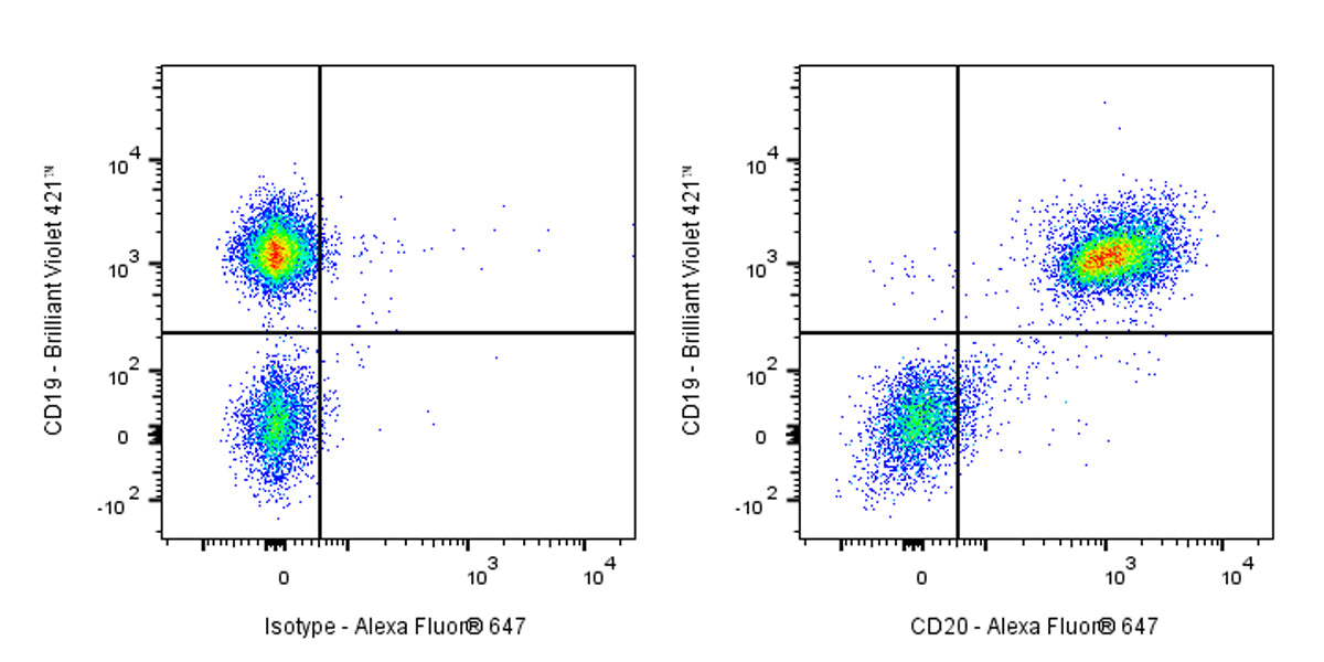 Alexa Fluor® 647 Rat Anti-Mouse CD20 Antibody (S-R497)