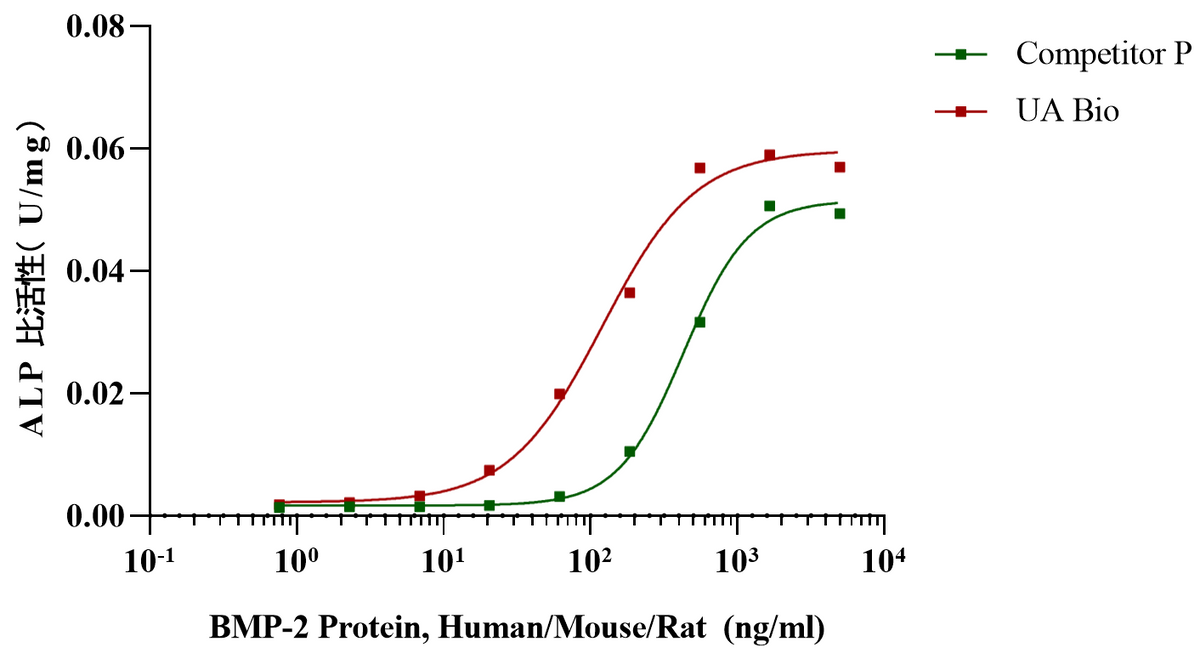 BMP-2 Protein, Human/Mouse/Rat