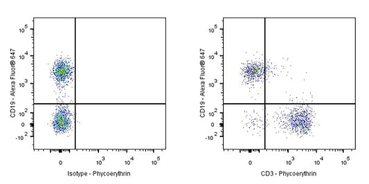 PE Rat Anti-Mouse CD3 Antibody (17A2)
