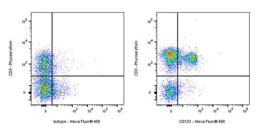 Alexa Fluor® 488 Armenian hamster Anti-Mouse CD103 Antibody (S-R692)