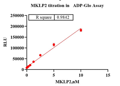 MKLP2 Protein