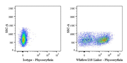 Whitlow/218 Linker Recombinant Rabbit mAb (PE conjugate) (S-712-10)