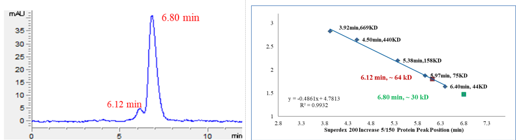 PLK4 Protein