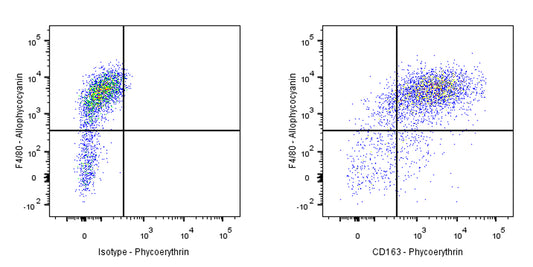 PE Rat Anti-Mouse CD163 Antibody (S-R608)