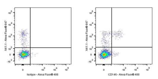 Rat Anti-Mouse CD146 Antibody (S-R606)