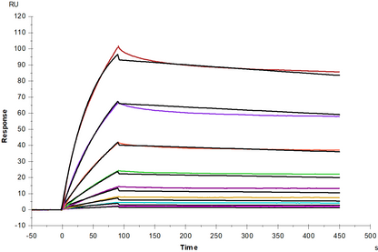Angiopoietin-like 4/ANGPTL4 His Tag Protein, Human