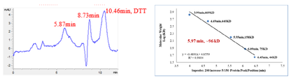 CHK1 GST Tag Protein, Human