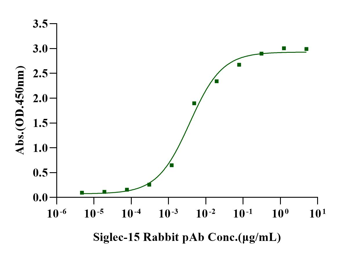 Biotinylated Siglec-15 Fc&Avi Tag Protein, Human