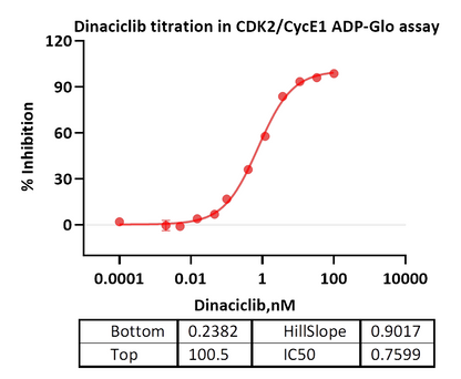 CDK2/CycE1 Protein