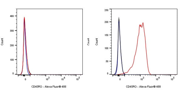 Mouse Anti-Human CD45RO Antibody (UCHL1)
