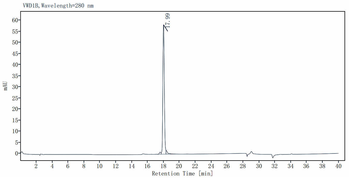 DNA Polymerase I Large (Klenow) Fragment