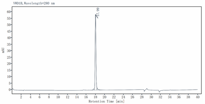 DNA Polymerase I Large (Klenow) Fragment