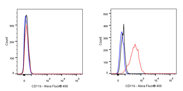 CD11b Recombinant Rabbit mAb,PBS Only (SDT-058-44)