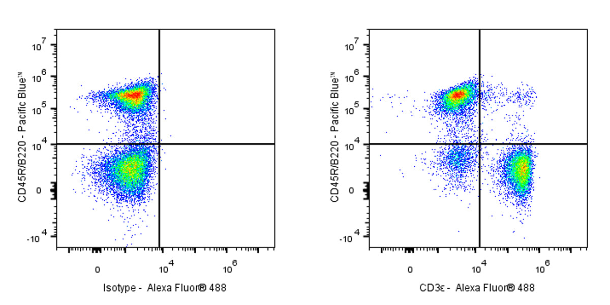 Rat Anti-Mouse CD3ε Antibody (KT3)