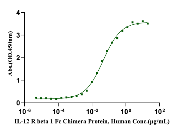 IL-12 R beta 1 Fc Chimera Protein, Human
