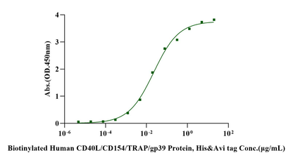 CD40/TNFRSF5 His Tag Protein, Cynomolgus