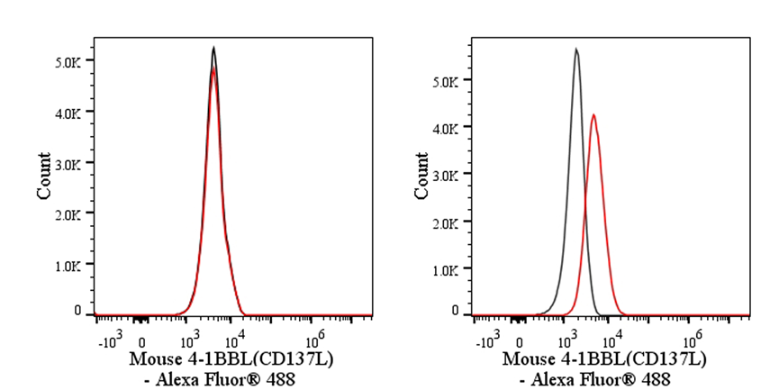 Invivo anti-Mouse 4-1BBL (CD137L) Recombinant mAb