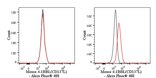 Invivo anti-Mouse 4-1BBL (CD137L) Recombinant mAb